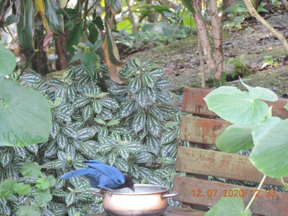 Pousada Dona Francisca Florianópolis Buitenkant foto